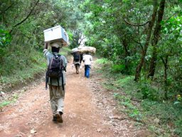 kilimanjaro_14_4_20160224_1128744523