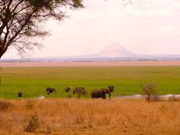 tarangire_8_20160224_1457763525